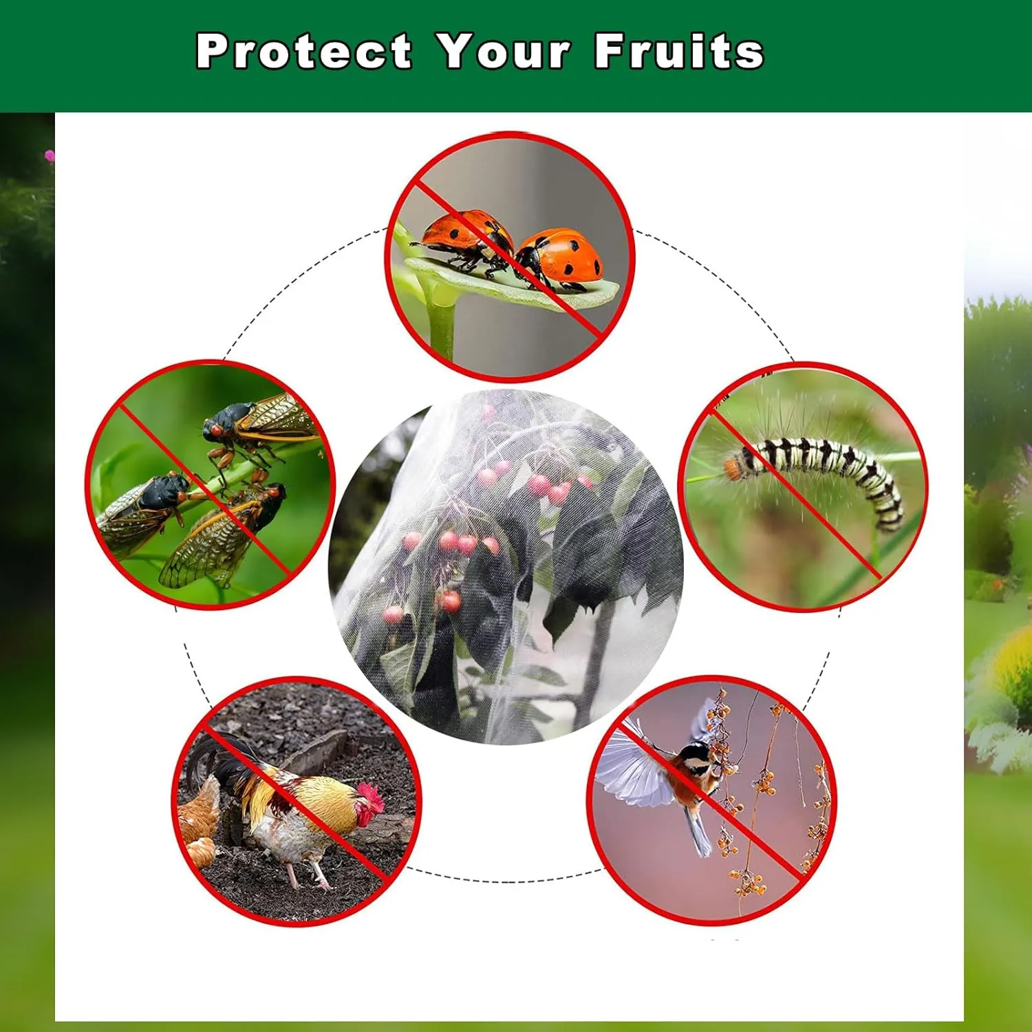6x6ft 2Packs Fruit Tree Netting Bags for Blueberry Bushes with Zipper and Drawstring,Keep Birds Squirrels Cicadas and Small Fly Out,Ideal Covers for Cherry Fig Peach Apple Trees (6x6ft-2Packs)