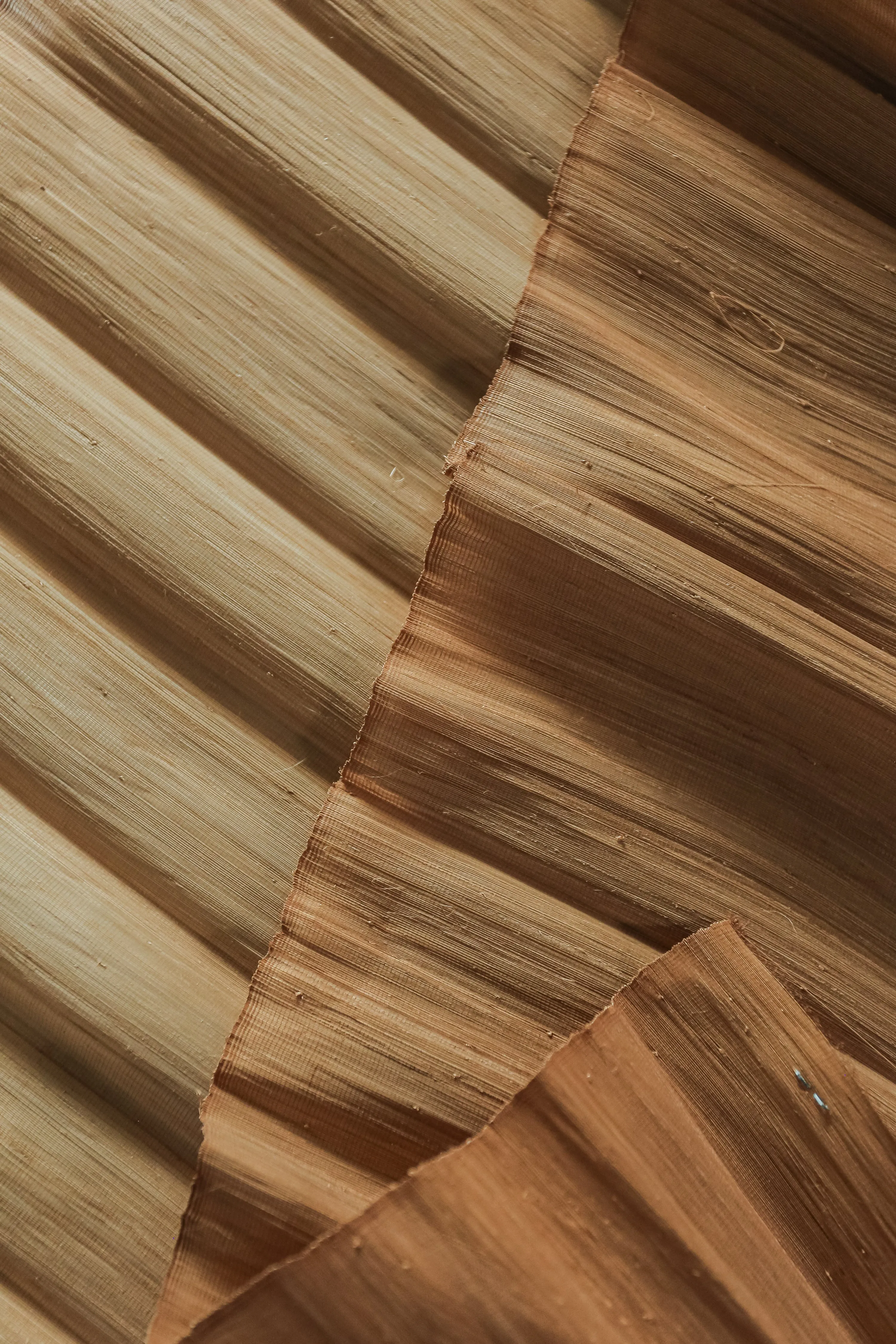 Abaca Silk - Natural dye in Coconut
