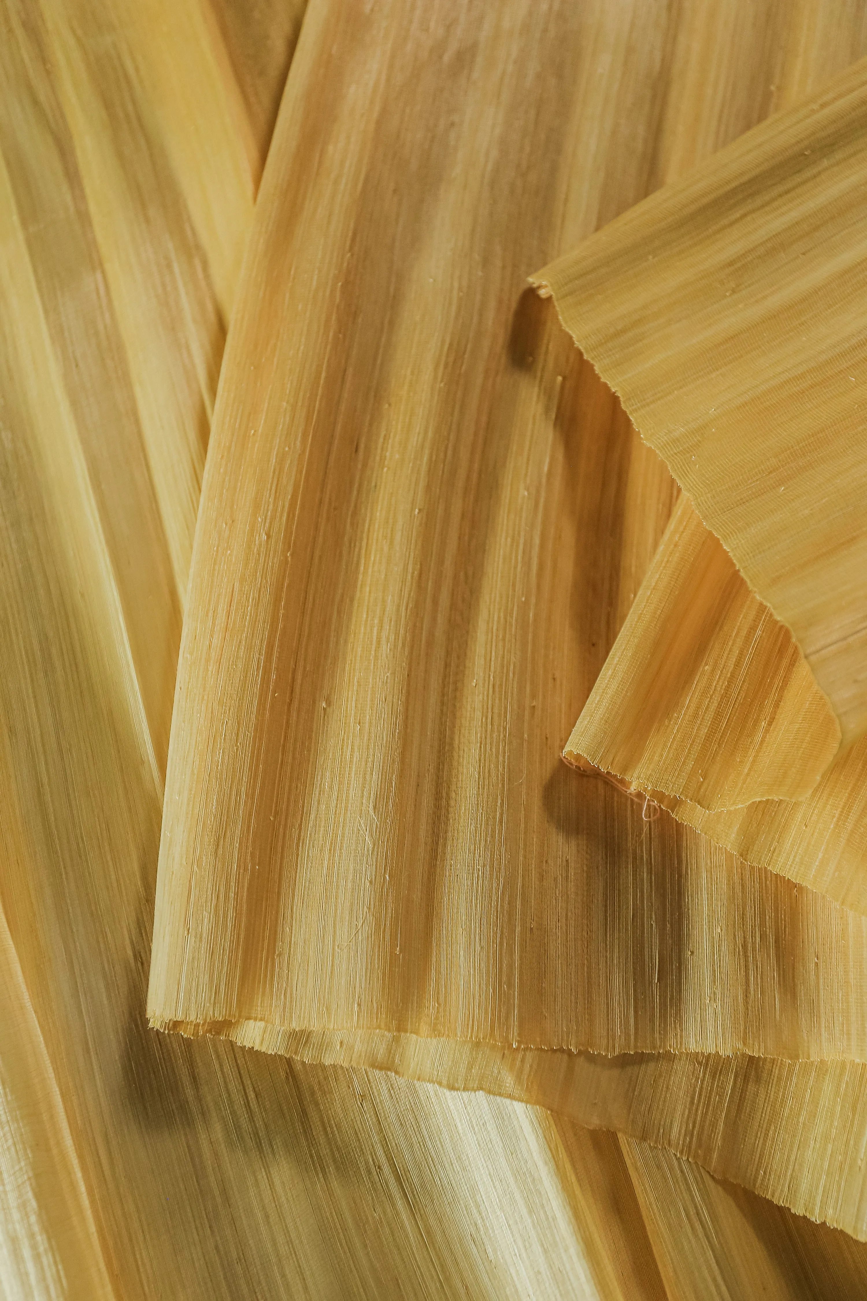 Abaca Silk - Natural dye in Talisay Tree