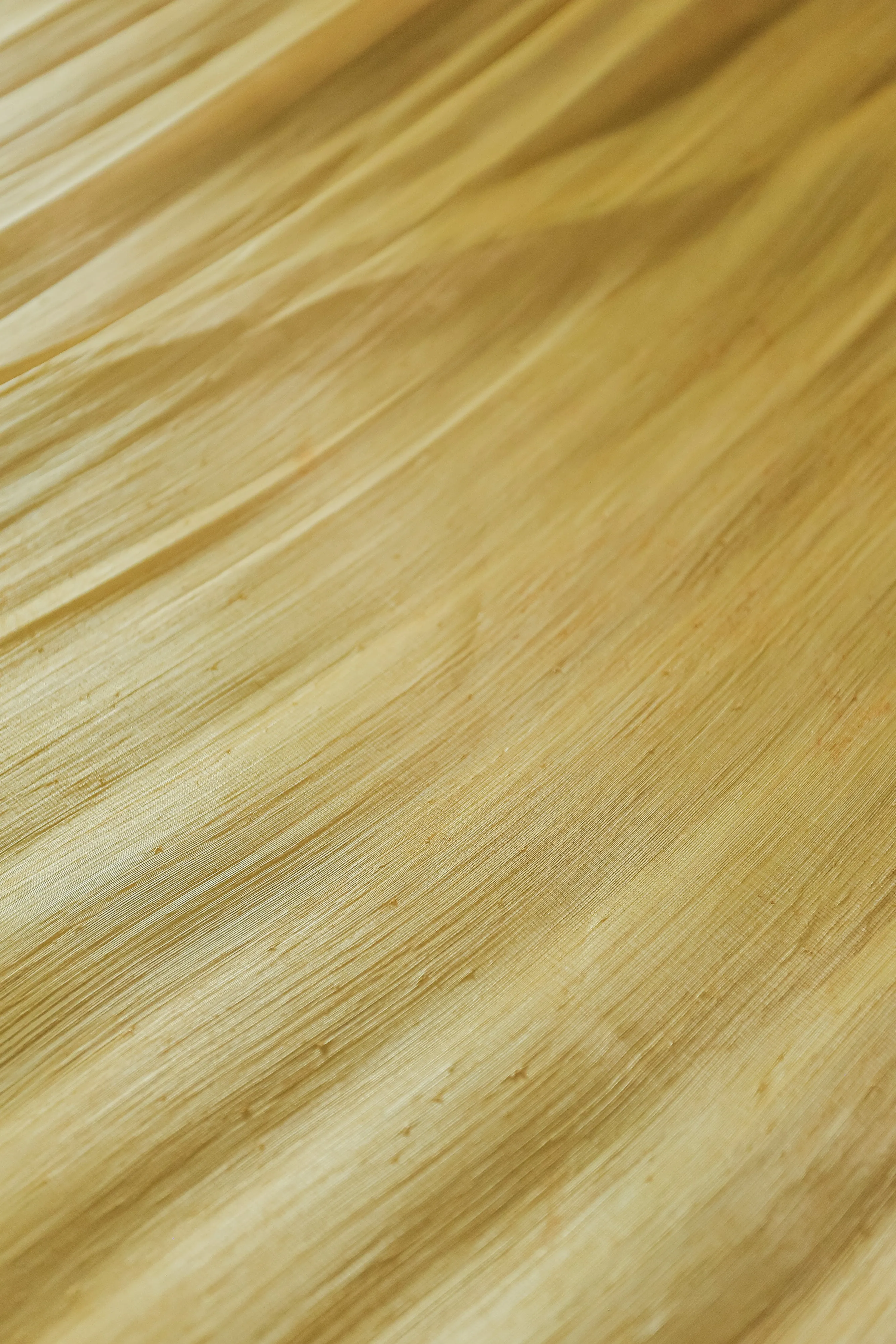 Abaca Silk - Natural dye in Talisay Tree