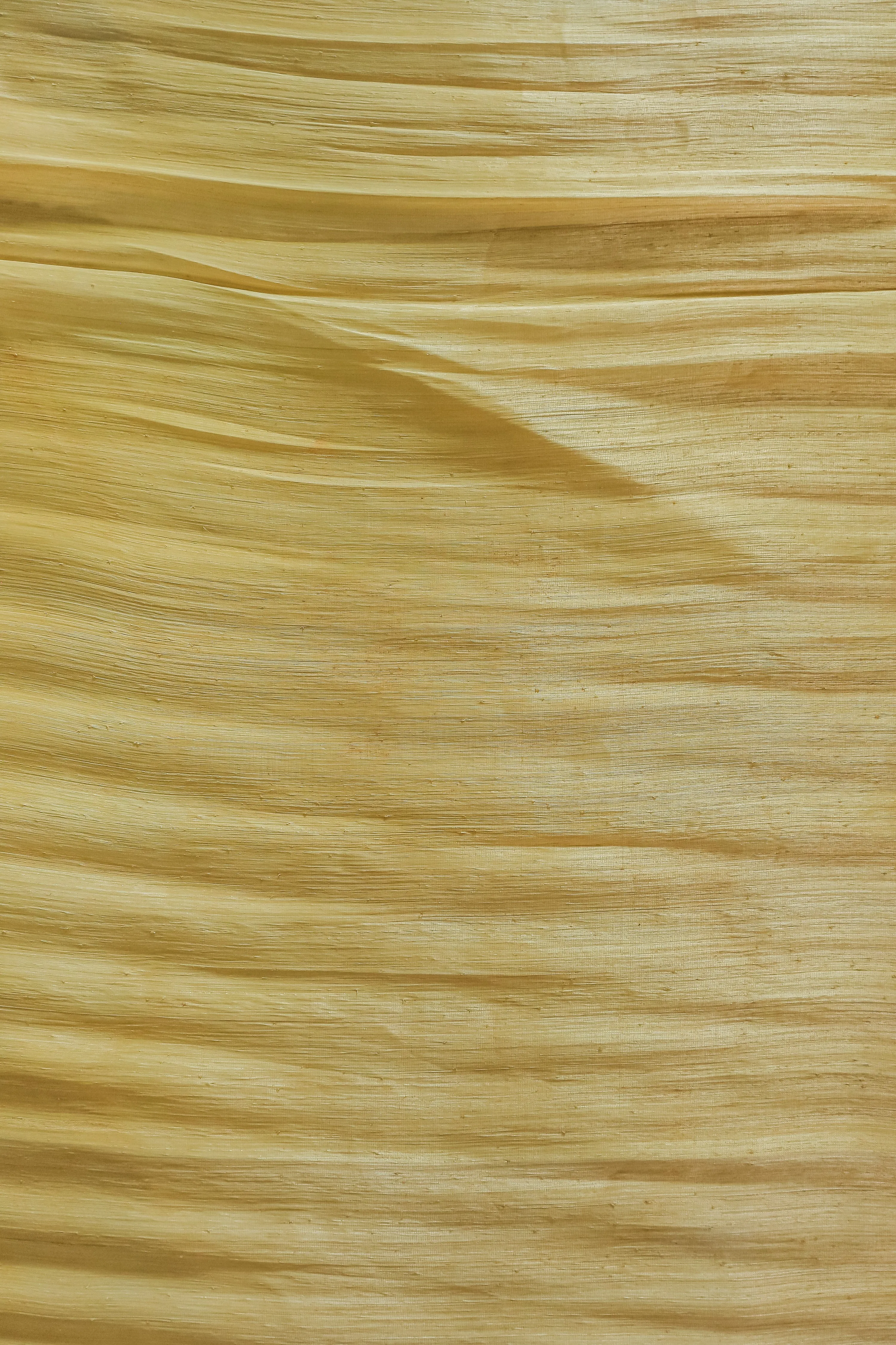 Abaca Silk - Natural dye in Talisay Tree