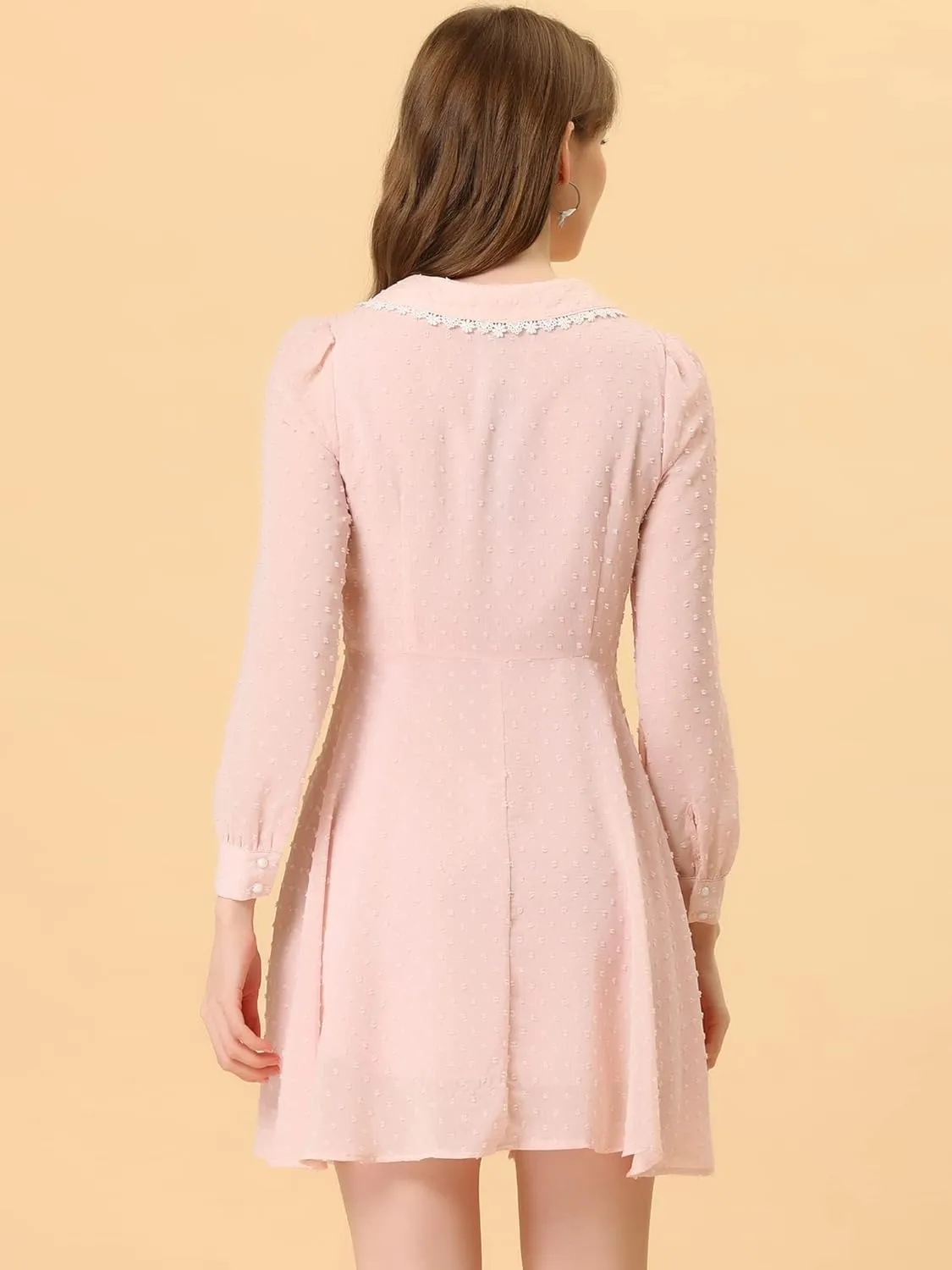 Allegra K Women's Peter Pan Collar Crochet Trim Long Sleeve Swiss Dots Retro Mini Dress