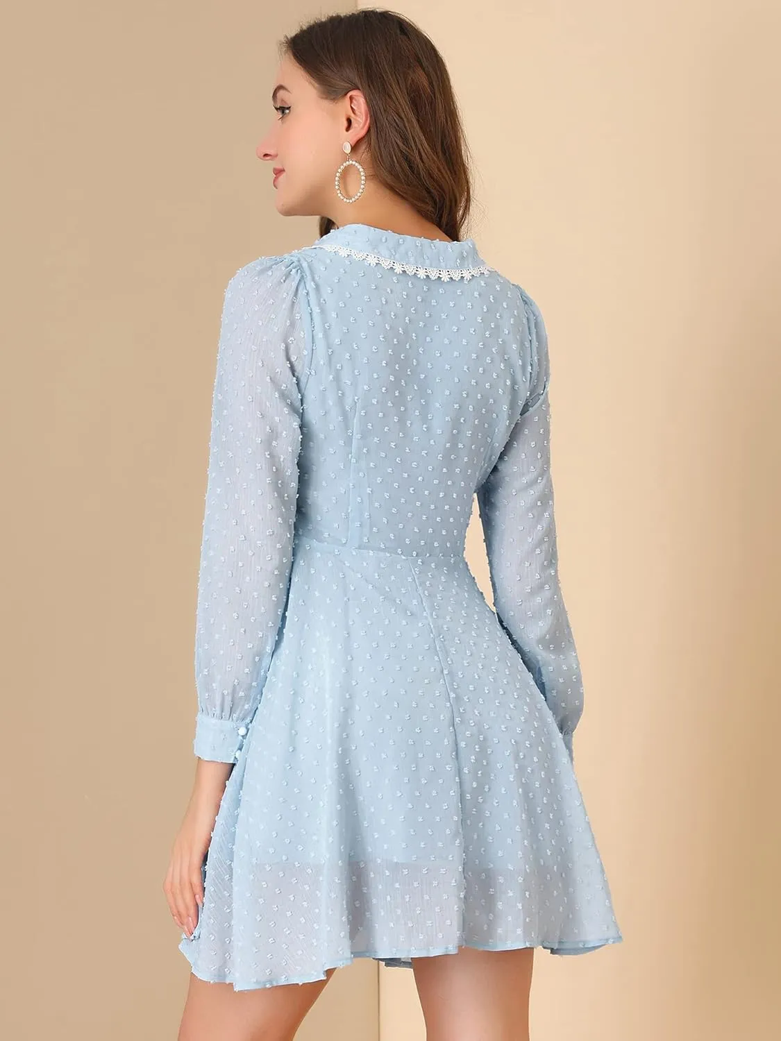 Allegra K Women's Peter Pan Collar Crochet Trim Long Sleeve Swiss Dots Retro Mini Dress