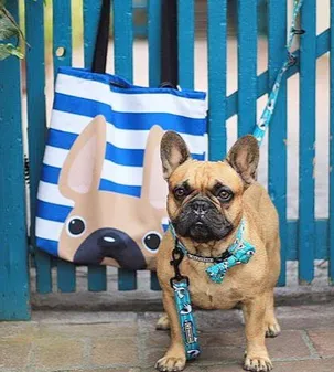 Fawn / Navy Striped French Bulldog Tote Bag