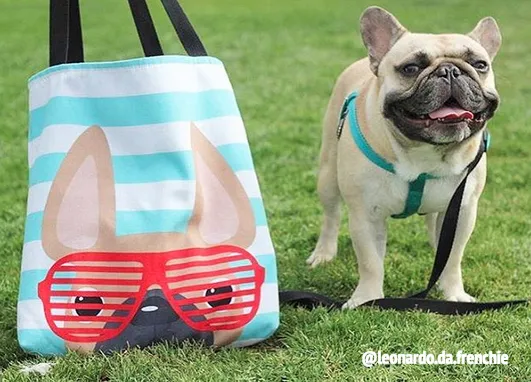 Fawn / Summer Shades French Bulldog on Teal Tote Bag