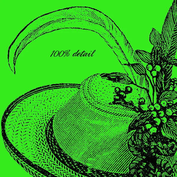 Lady Brush (Brush and PNG)
