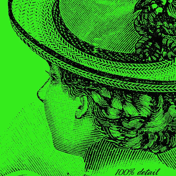 Lady Brush (Brush and PNG)