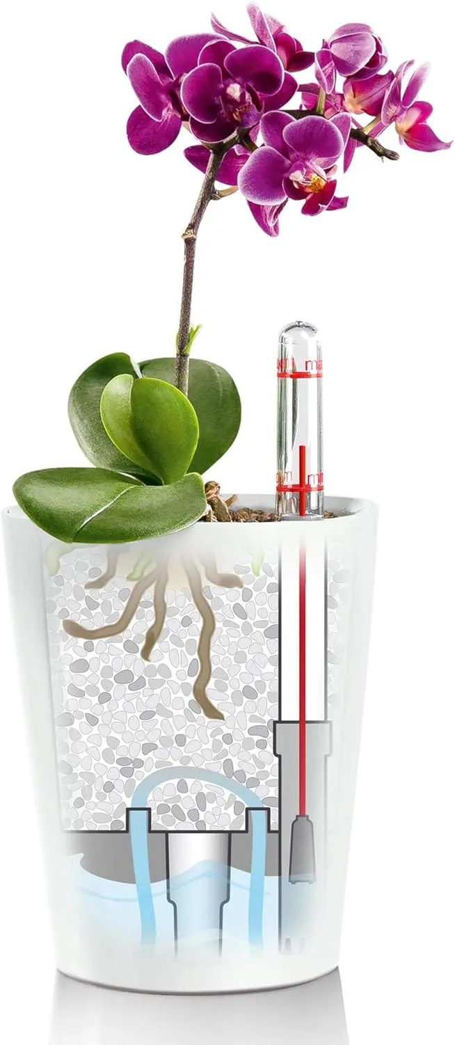 Lechuza 14949 Mini Deltini Self-Watering Planter for Indoor and Outdoor Use, 4" x 4" x 5", Charcoal