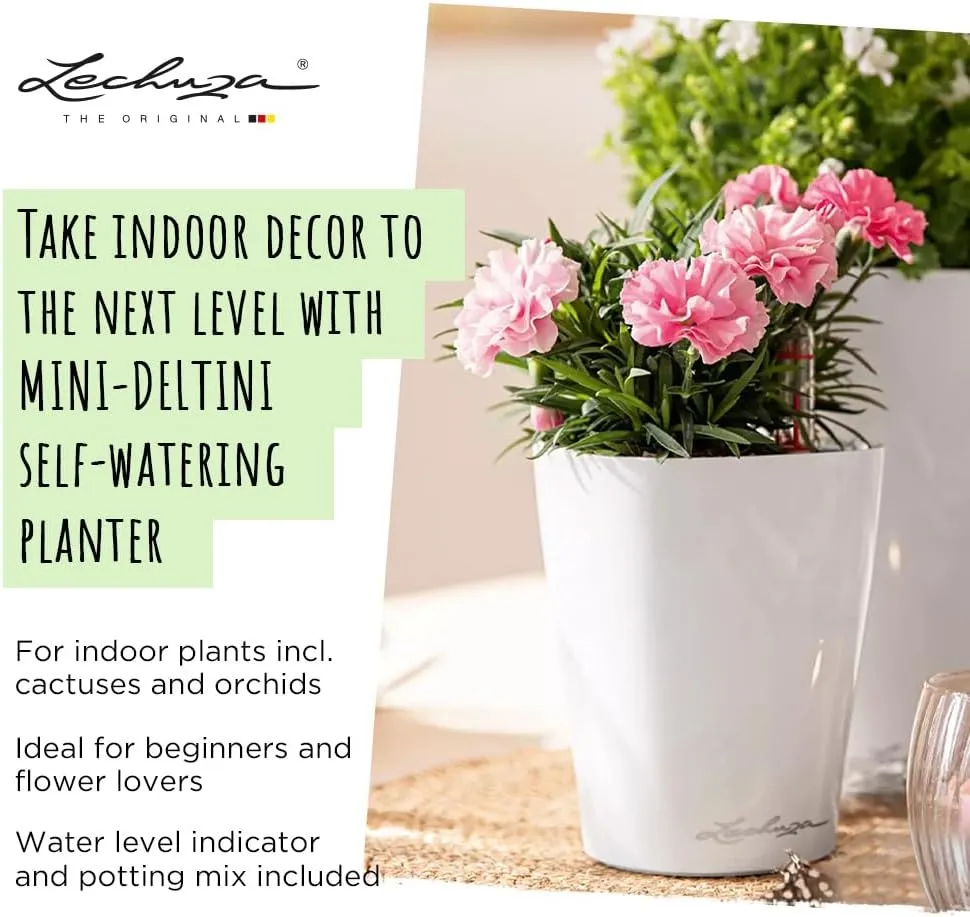 Lechuza 14949 Mini Deltini Self-Watering Planter for Indoor and Outdoor Use, 4" x 4" x 5", Charcoal