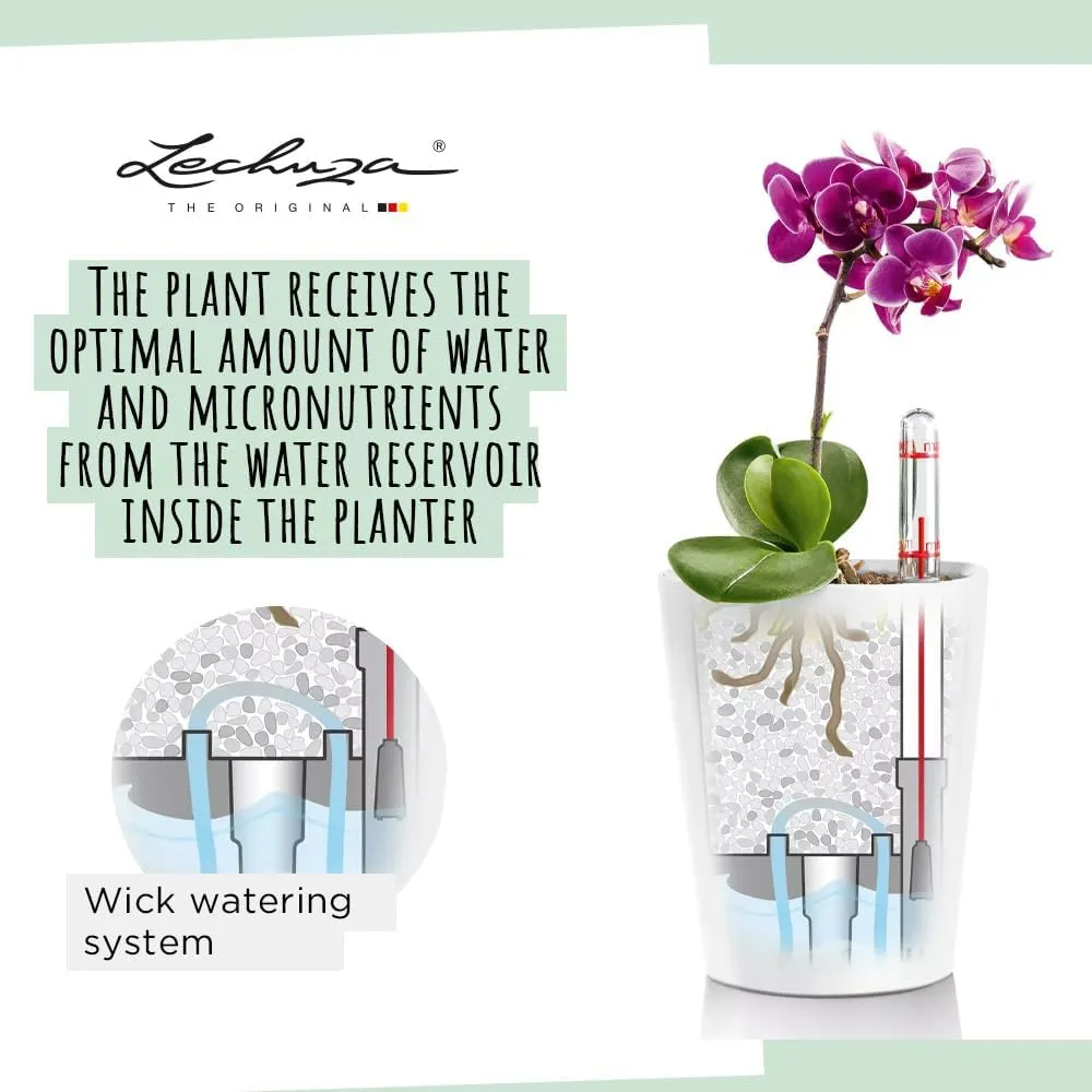 Lechuza 14949 Mini Deltini Self-Watering Planter for Indoor and Outdoor Use, 4" x 4" x 5", Charcoal