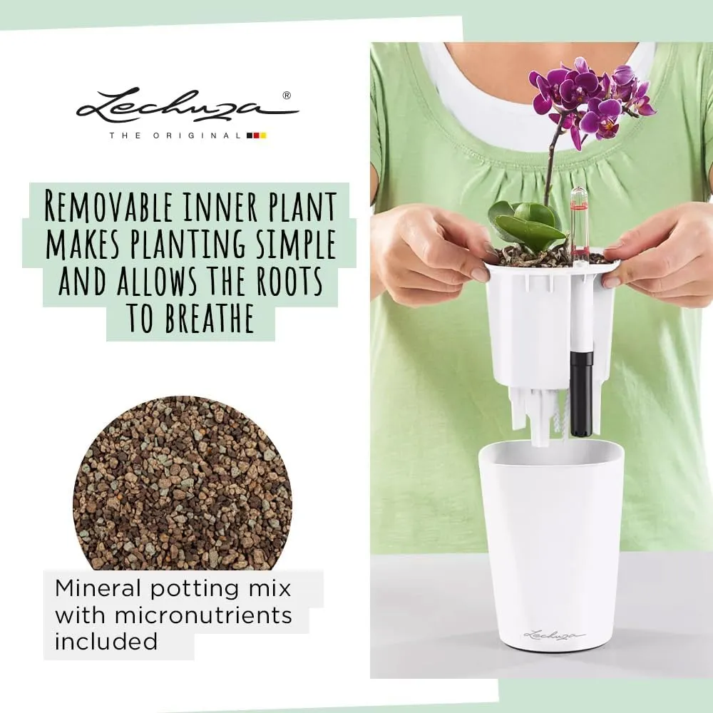 Lechuza 14949 Mini Deltini Self-Watering Planter for Indoor and Outdoor Use, 4" x 4" x 5", Charcoal