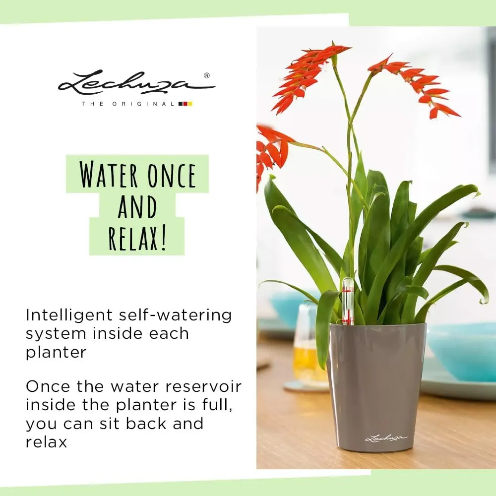 Lechuza 14949 Mini Deltini Self-Watering Planter for Indoor and Outdoor Use, 4" x 4" x 5", Charcoal