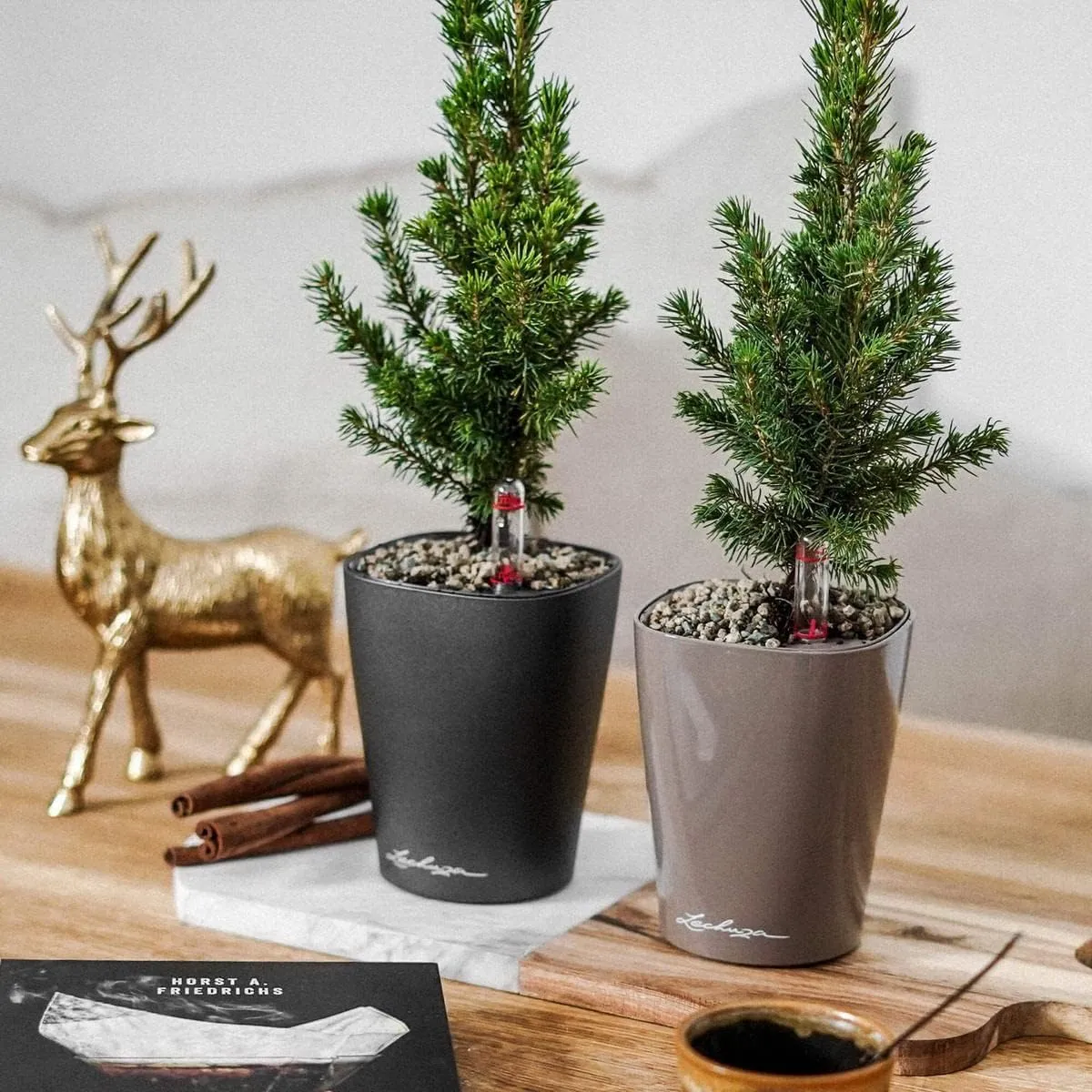 Lechuza 14949 Mini Deltini Self-Watering Planter for Indoor and Outdoor Use, 4" x 4" x 5", Charcoal