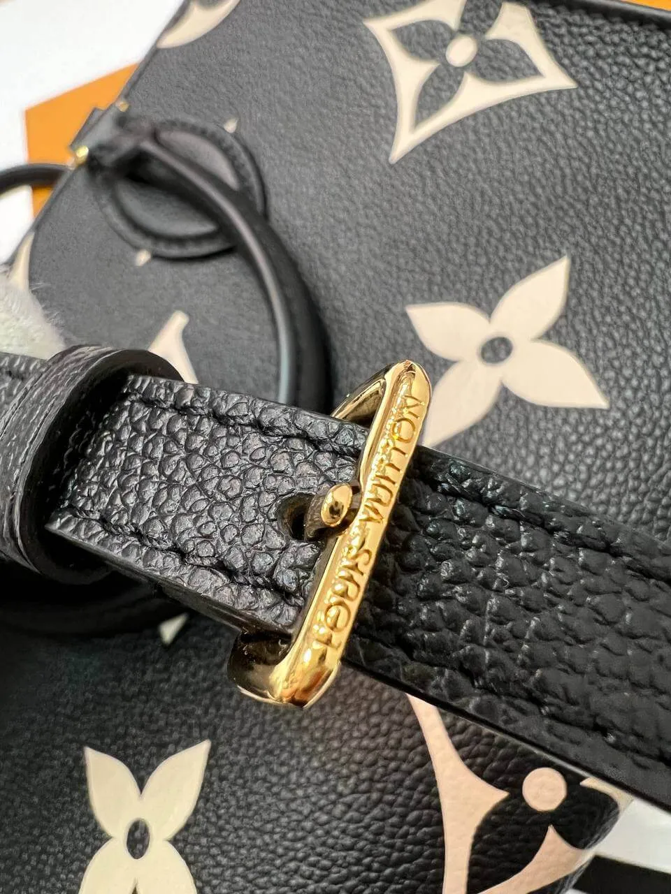 Louis Vuitton ONTHEGO PM