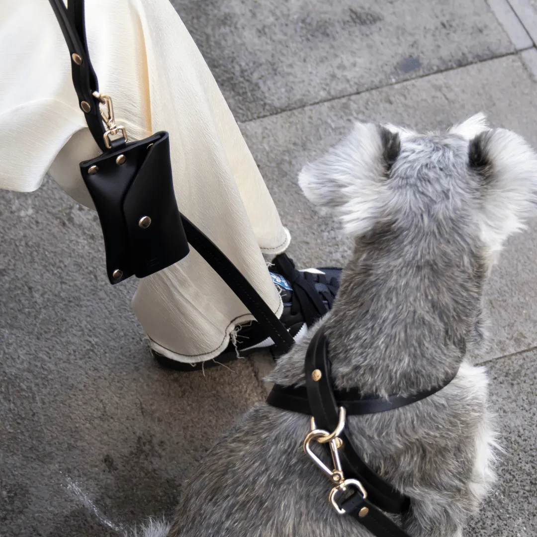 Mini Bag