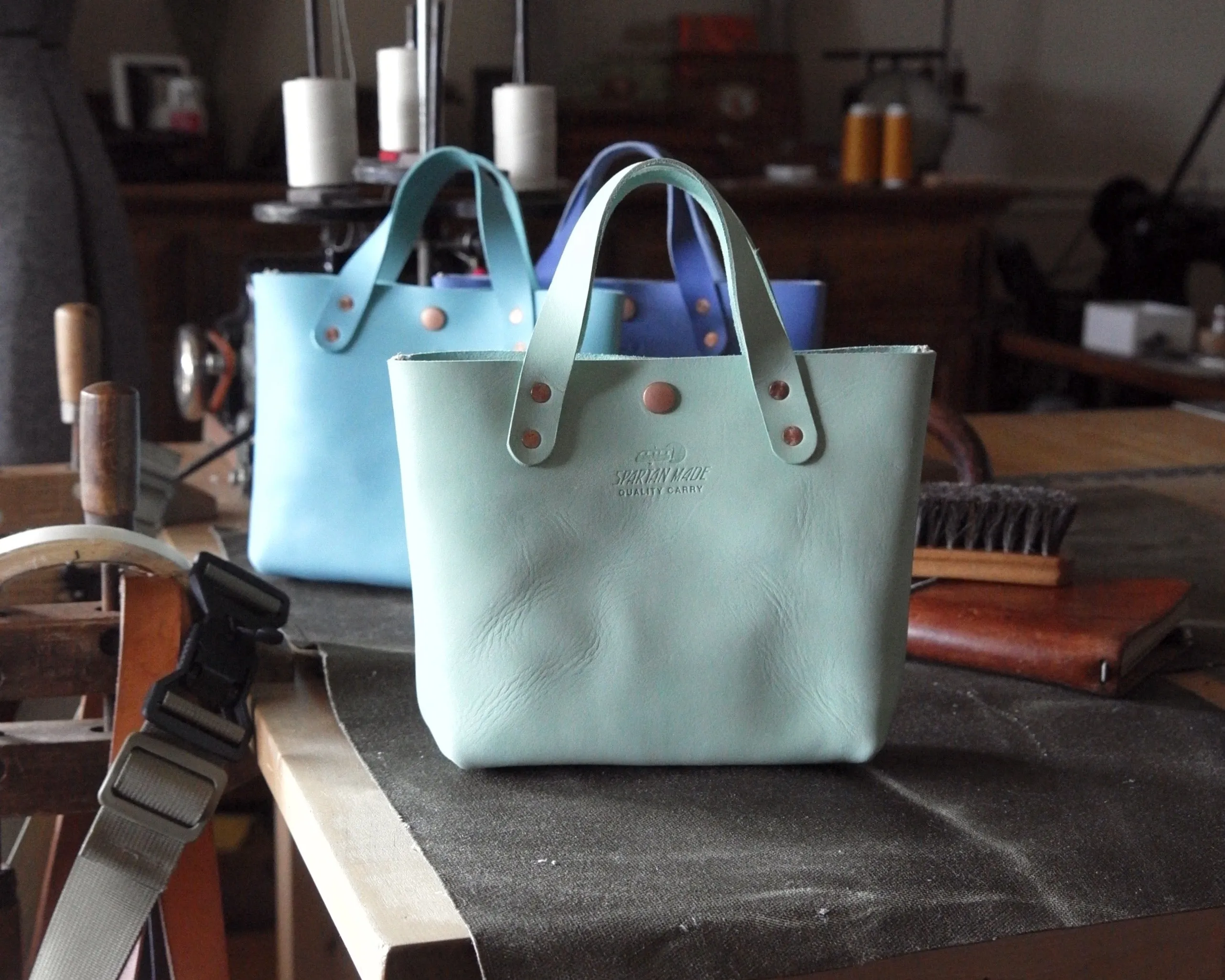 Mini Tote in Mint