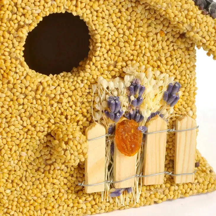 Mr. Bird Birdie Cottage All Season