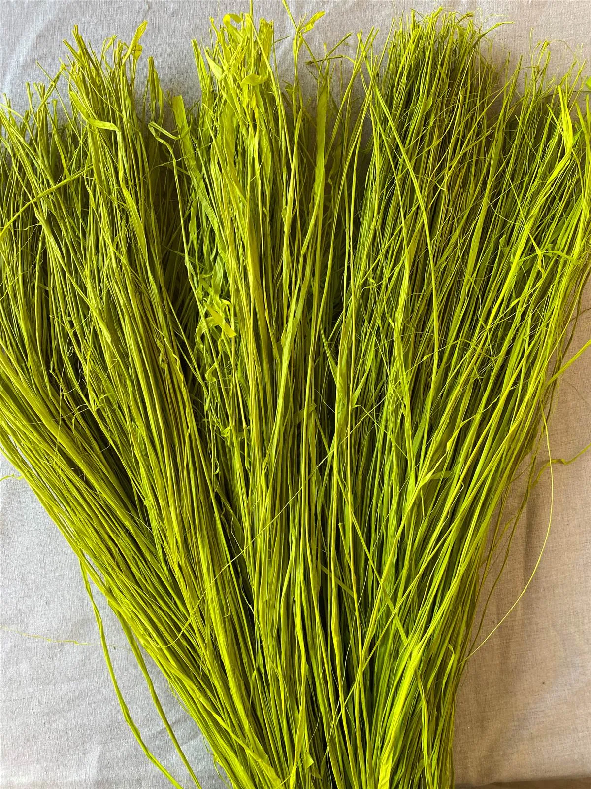 Natural Raffia | 10-20 Bundles | Color Options Available