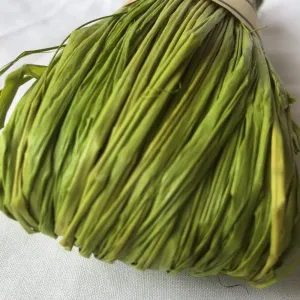 Nutscene Raffia 50g - Spring Green