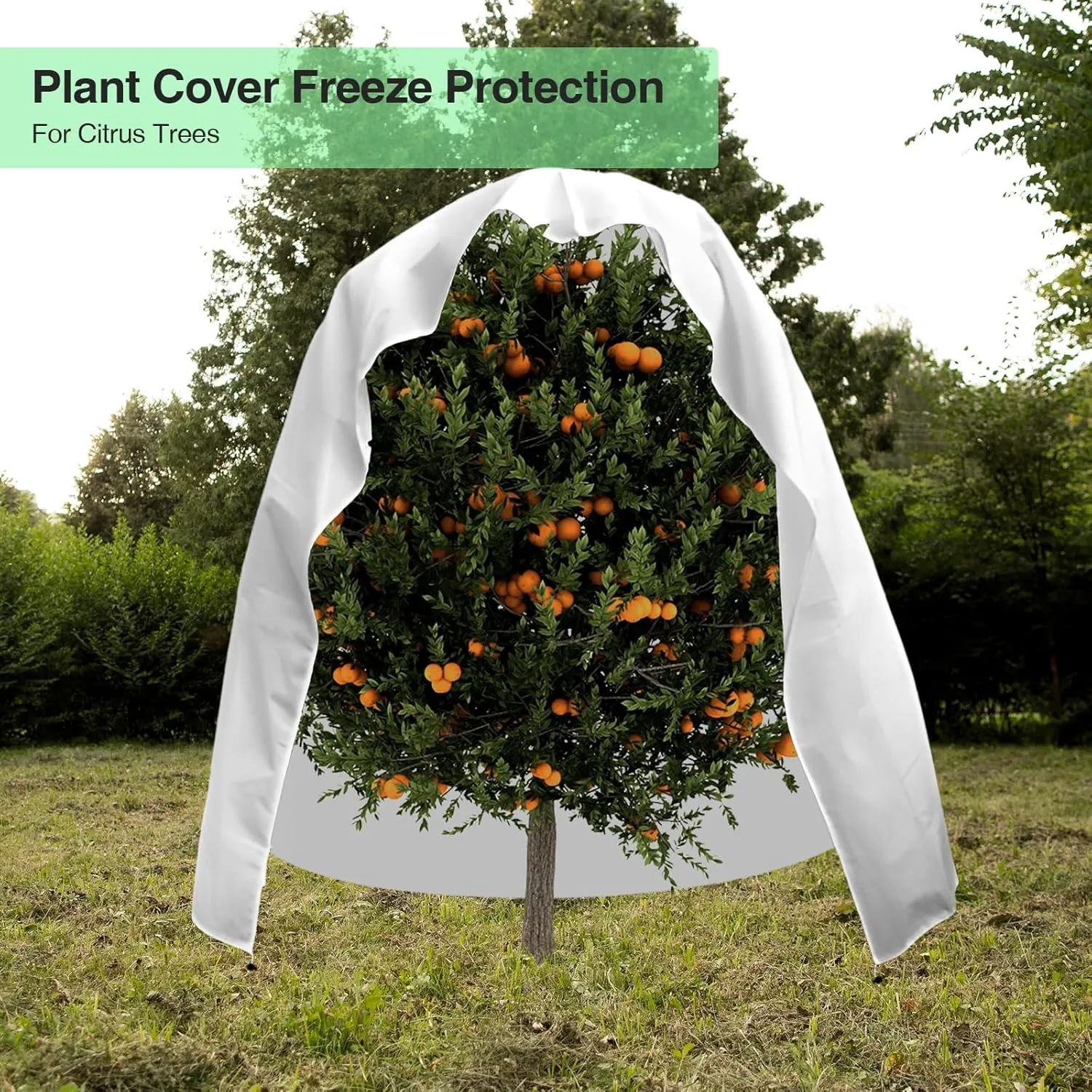 Plant Covers Freeze Protection, Frost Protection Cloth Reusable Plant Protector Bags with Zipper Drawstring for Outdoor Plants, Winter Frost Cold Weather Shrubs Cover, 47.2'' x 70.8''