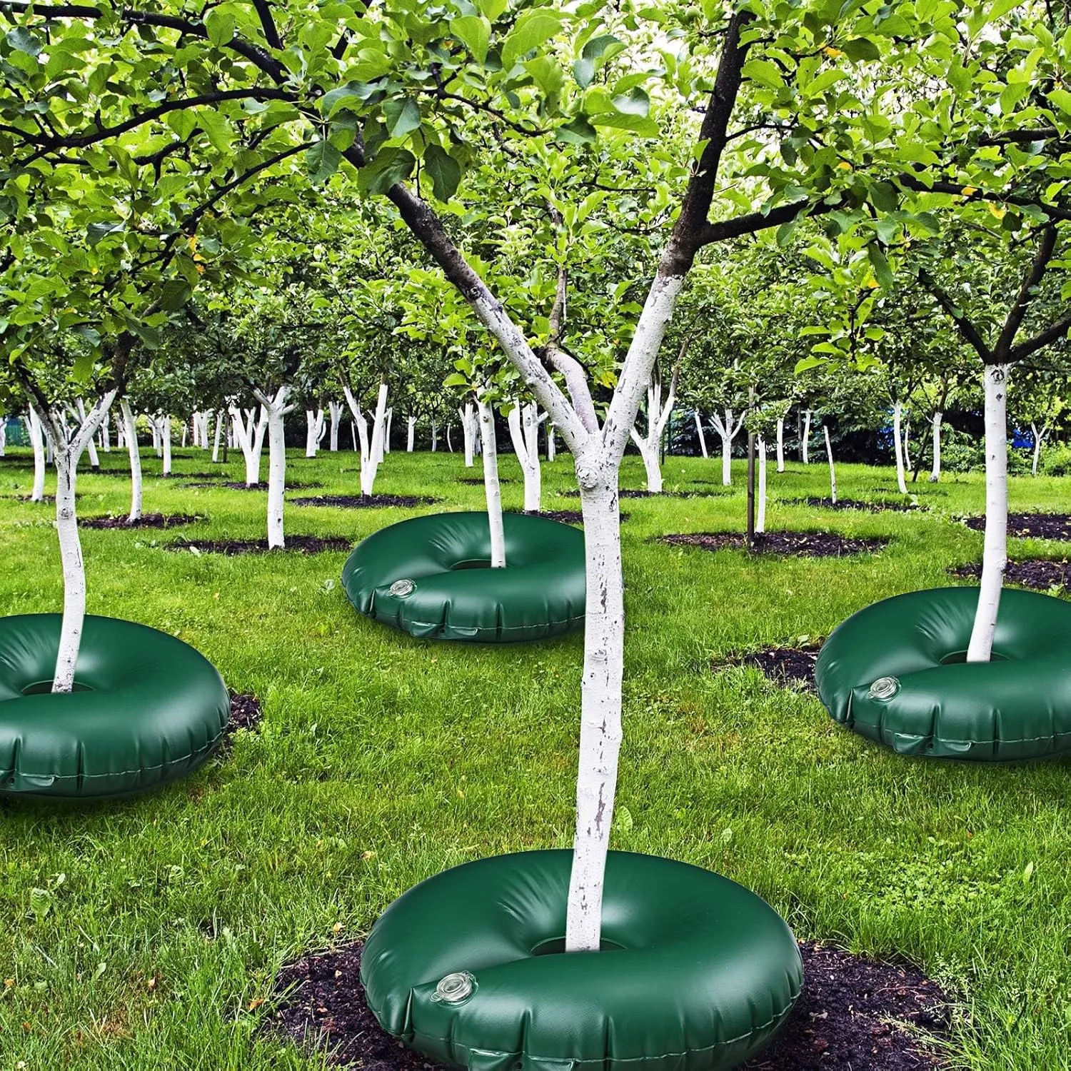 TaoBary 8 Pack 20 Gallon Tree Watering Ring Tree Watering Bag Slow Release PVC Drip Irrigation Water Pouch Automatic Drip System for Planting Gardening Trees and Shrubs