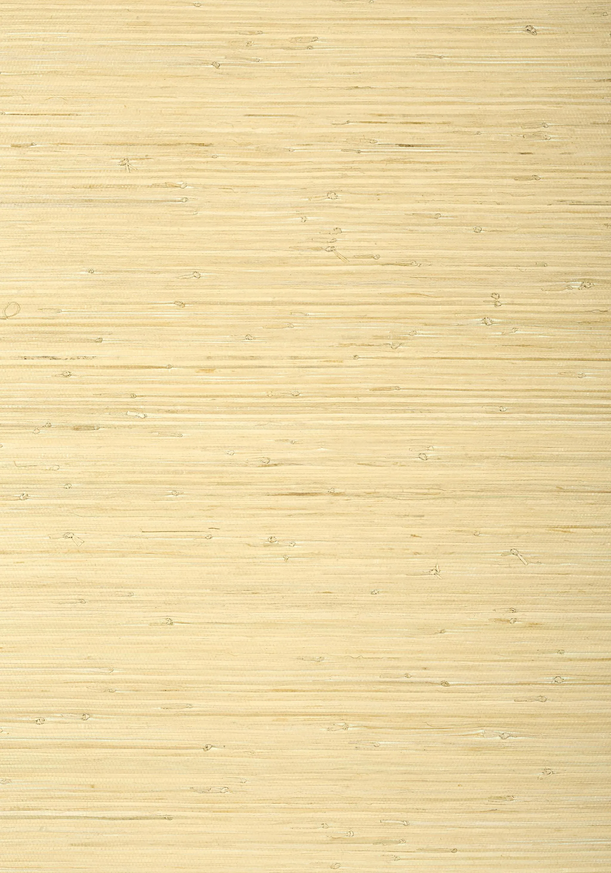 Thibaut Raffia Palm Natural Wallpaper