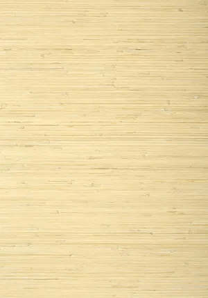 Thibaut Raffia Palm Natural Wallpaper