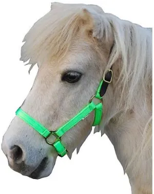 Triple E Nylon Mini Halter w/Leather Crown MD Lime