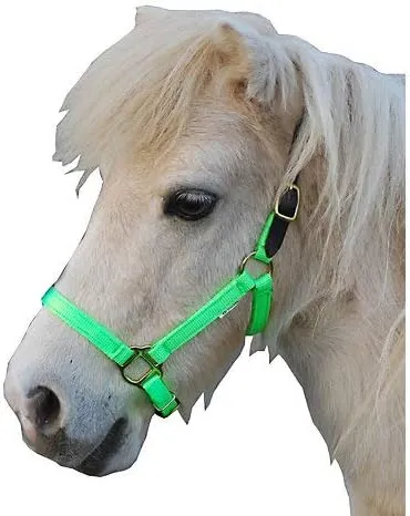 Triple E Nylon Mini Halter w/Leather Crown MD Lime
