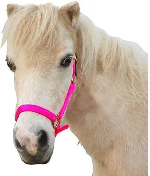 Triple E Nylon Mini Halter w/Leather Crown