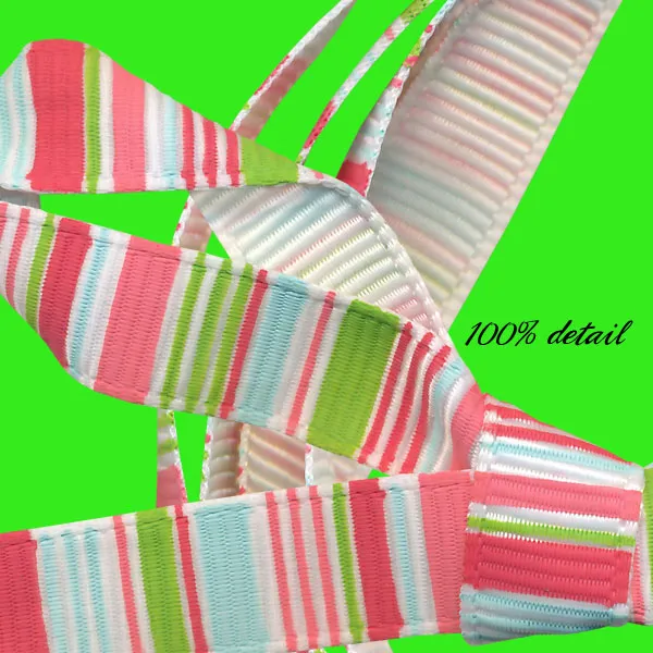 Watermelon Stripe Ribbons